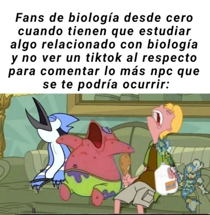 Malditos npcs :no: - meme