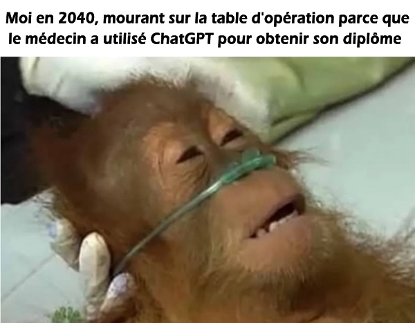 ChatGPT - meme
