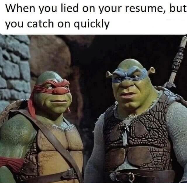 When you lied on your resume but improvise like a champ - meme