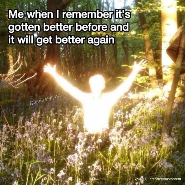It’s been worse before. You’ll survive this one too - meme