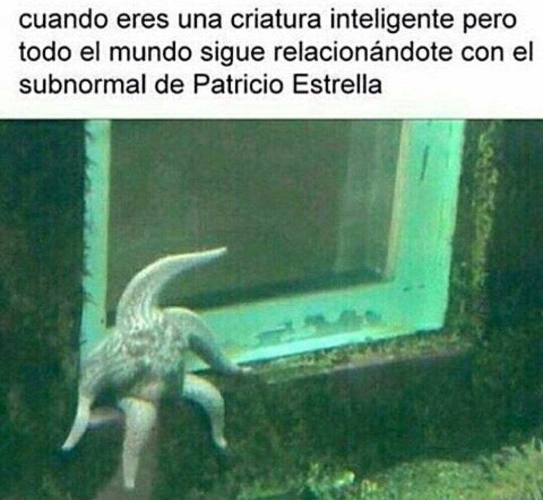 La vida es dura para Patricio - meme