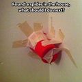 Red solo cup spider