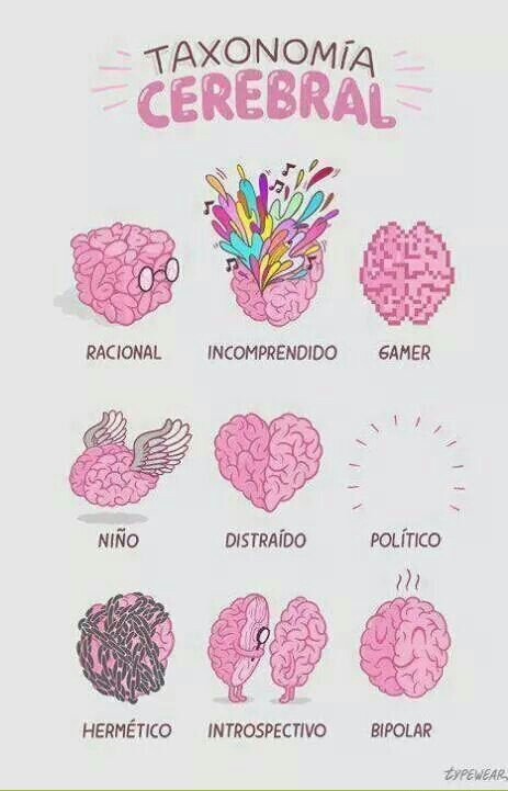 Cerebro :3 - meme