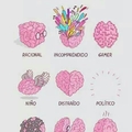 Cerebro :3