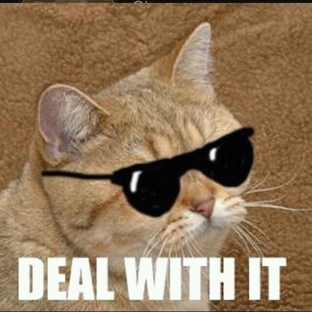 Deal with it - Meme by arthurkaly :) Memedroid