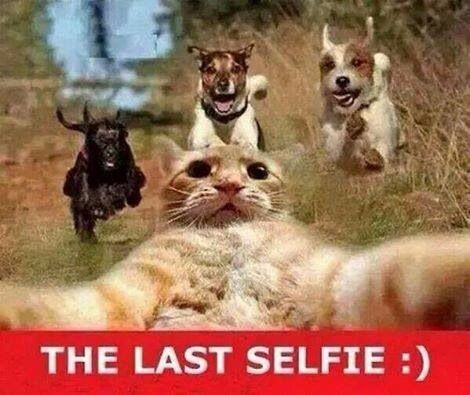 The last selfie :) - meme