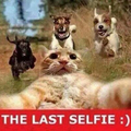 The last selfie :)