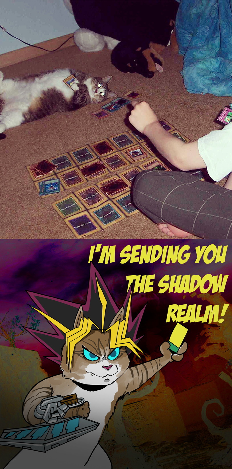 Just activated my trap card! - meme