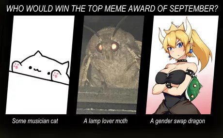 Who should be meme of the month?