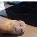 Potato looks stoned as fuck