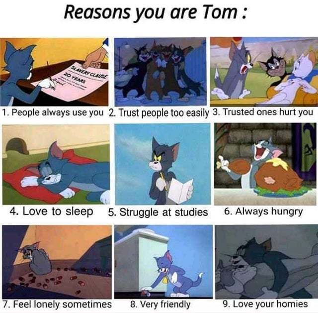 I'm Tom, are you? - meme