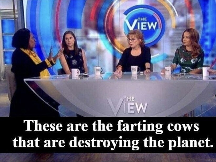 cow farts - meme