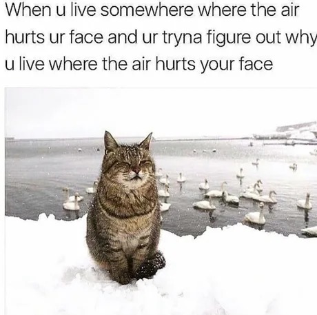 When the air hurts your face - meme