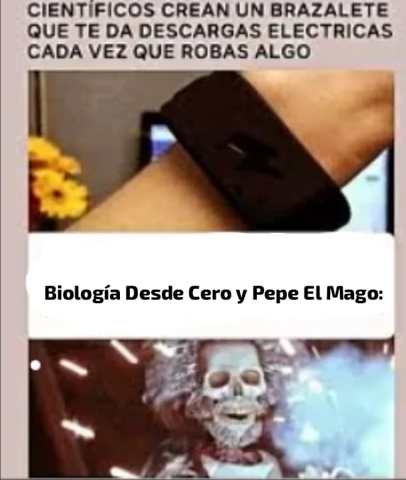 Tremendo - meme