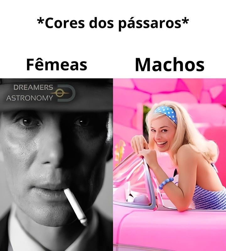 Cores - meme