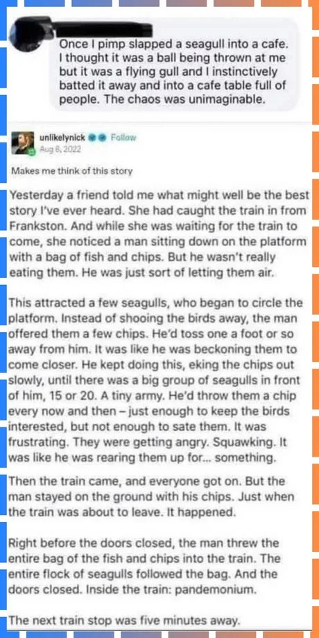 Seagull stories - meme