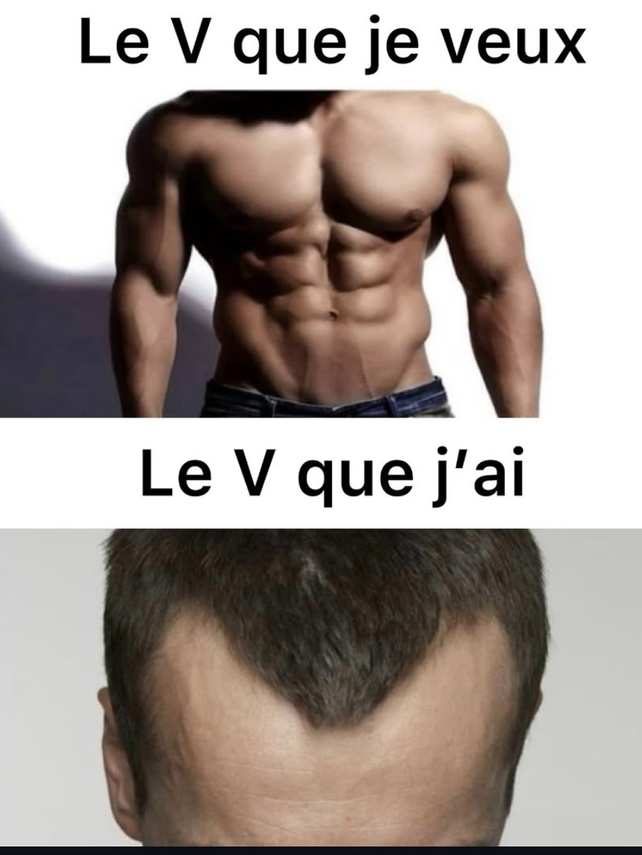 Le V que je veux vs le V que j’ai. La vie est parfois cruelle - meme