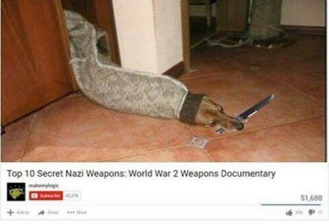 Fascist Doggo - meme