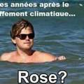 Rose ?!