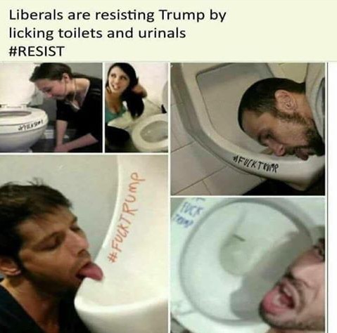Resist Liberals - meme