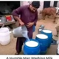 "He's not washing the milk.  He's watering the milk. It was a hot day and the milk was thirsty."