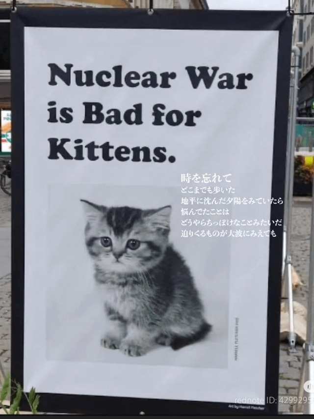 Reminder: Nuclear war is also bad for kittens - meme