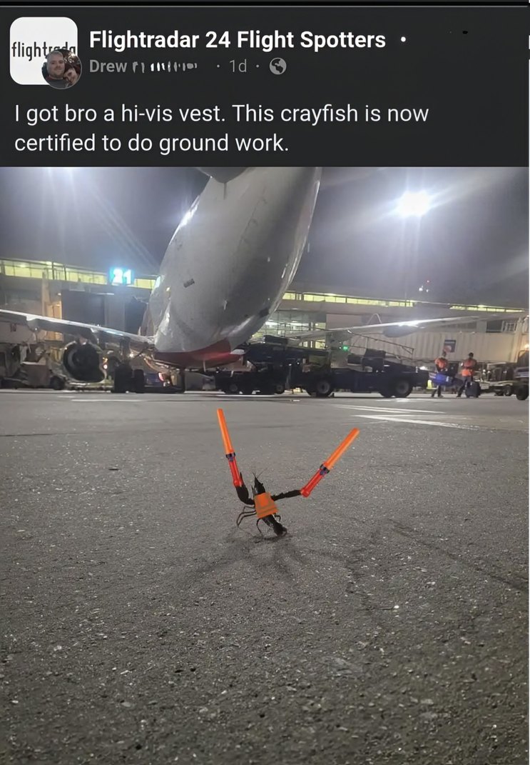 ﻿fflightrs Flightradar 24 Flight Spotters Drew f1/(‘”, Id 1 got bro a hi-vis vest. This crayfish is now certified to do ground work: