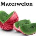 Materwelon