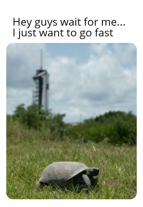 Space Turtle - meme