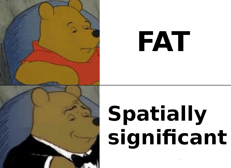 fat - meme