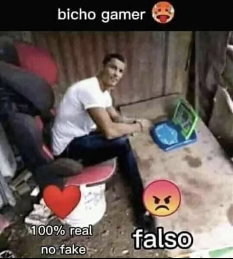 Bicho gamer - meme