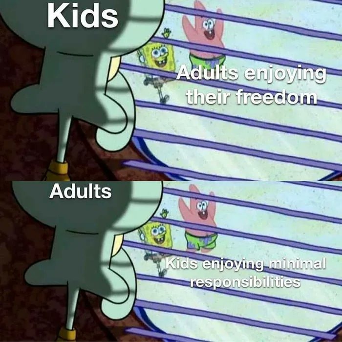 adulthood - meme