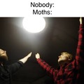 Moths REALLLLLLY love lamp.