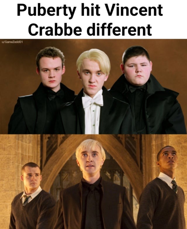 Puberty Hit in Harry Potter - meme