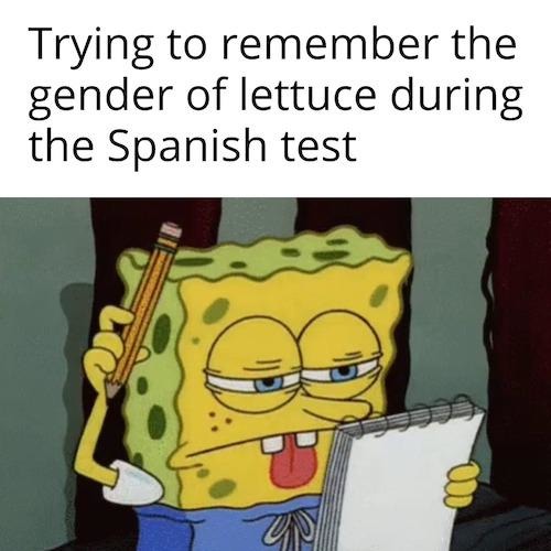 Spanish test - meme