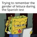 Spanish test