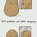 Potato smiles when NovaGecko is done for