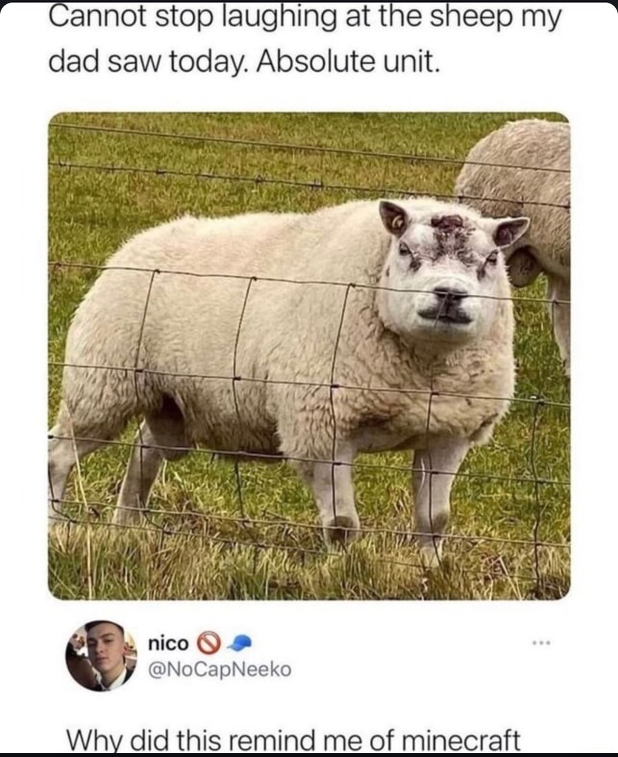 My dad saw a Minecraft sheep in real life - meme