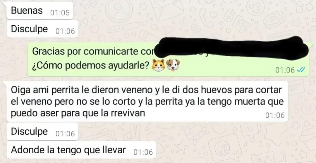por favor introduce un titulo para tu meme