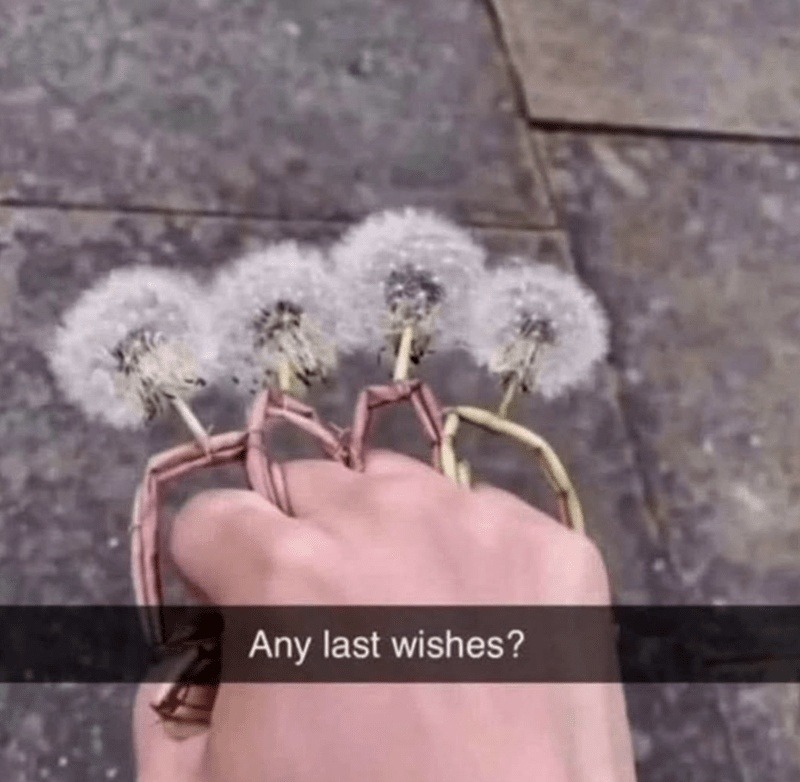 Last wishes? Yeah, delete my search history - meme