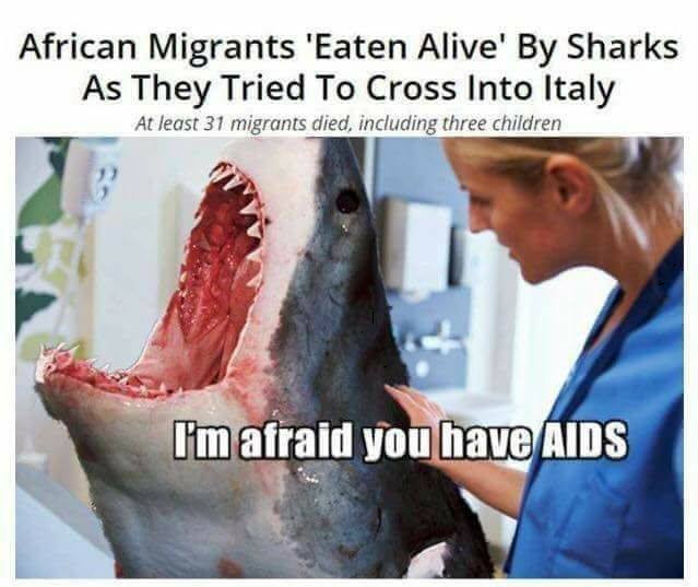 dongs in a shark - meme