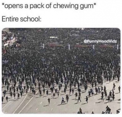 NEVER BRING A GUM TO SCHOOL - meme