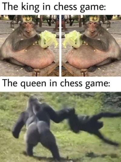 Chess pieces - meme