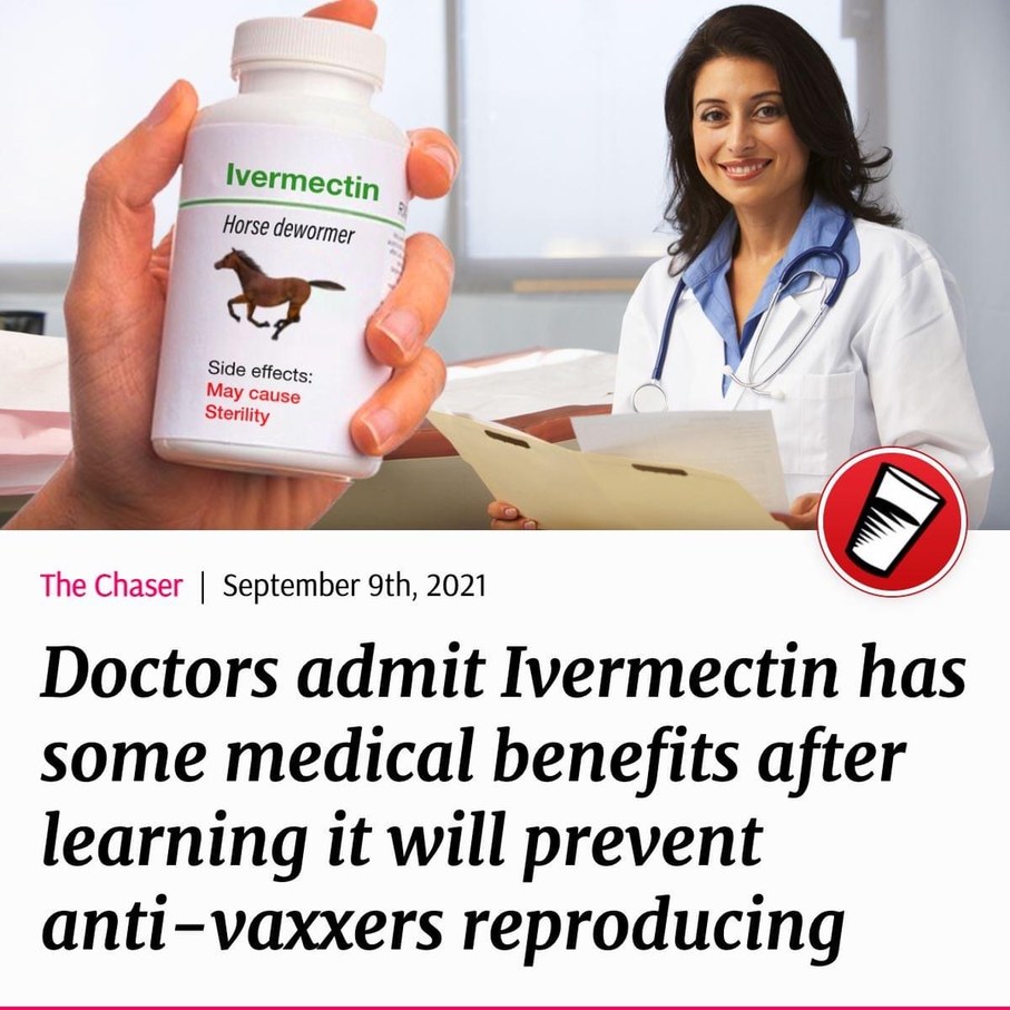medical benefits of ivermectin - meme