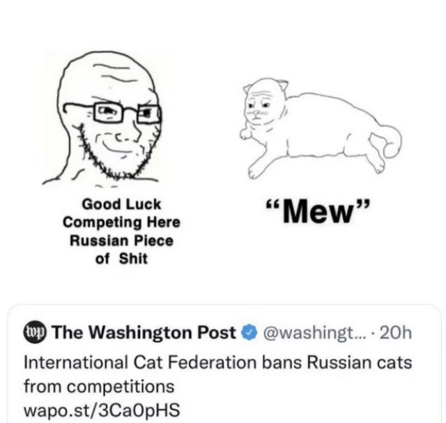 le cat owners - meme