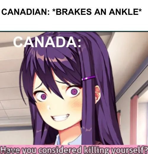 Canadian universal healthcare - meme