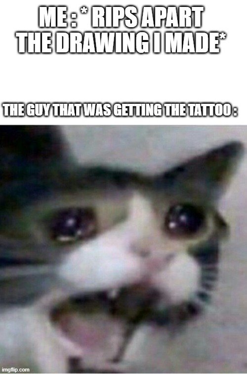 Crying cat meme