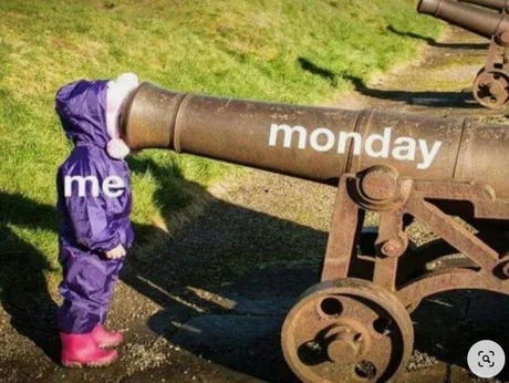 Funny Monday motivation - meme