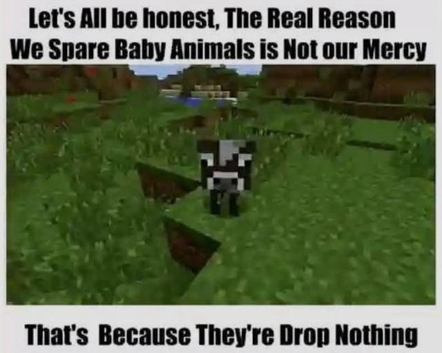 We don’t spare baby animals out of mercy, they’re just cute AF - meme