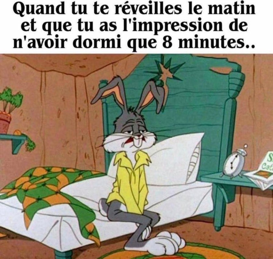 Le réveil à 7h alors que t'as dormi 8 minutes selon ton âme - meme